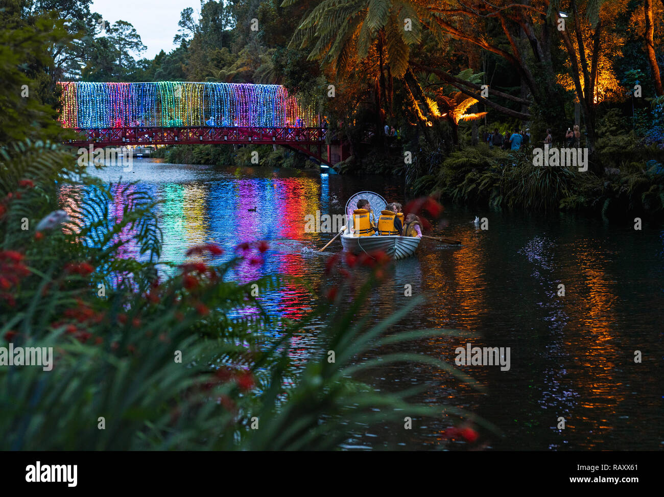 Festival de lumières dans le parc Pukekura, île du nord de Nouvelle-Zélande, le 16 janvier 2018 Banque D'Images