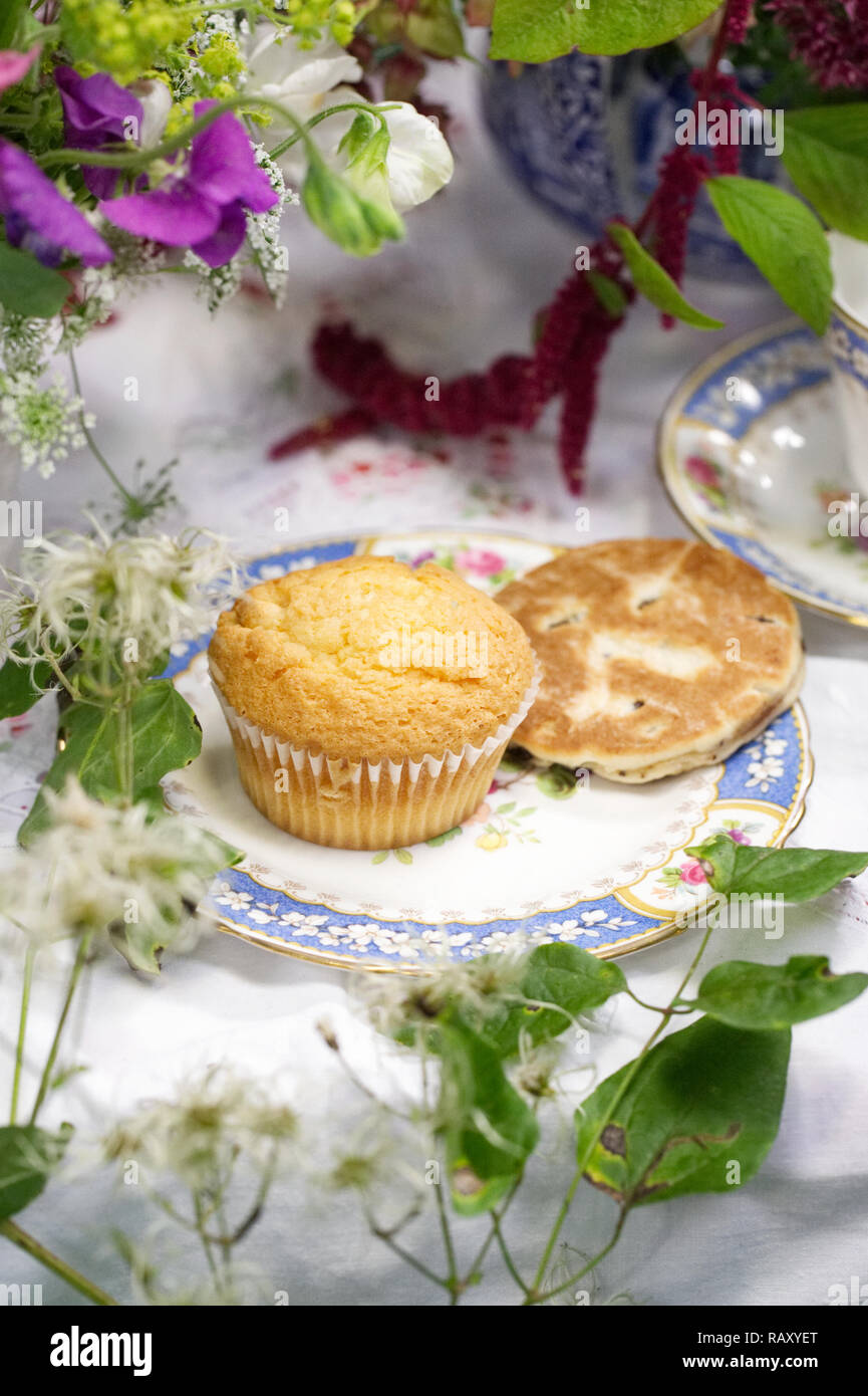 L'affichage à l'automne Fleurs de Malvern. Banque D'Images