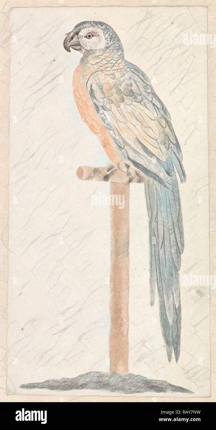 Perroquet sur stick, anonyme, Johan Teyler, 1688 - 1698. Repensé par Gibon. L'art classique avec une touche moderne repensé Banque D'Images