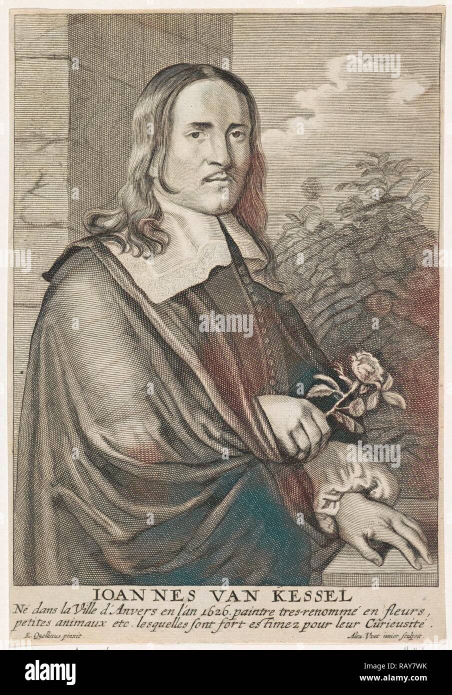 Jan van kessel i Banque de photographies et d’images à haute résolution ...