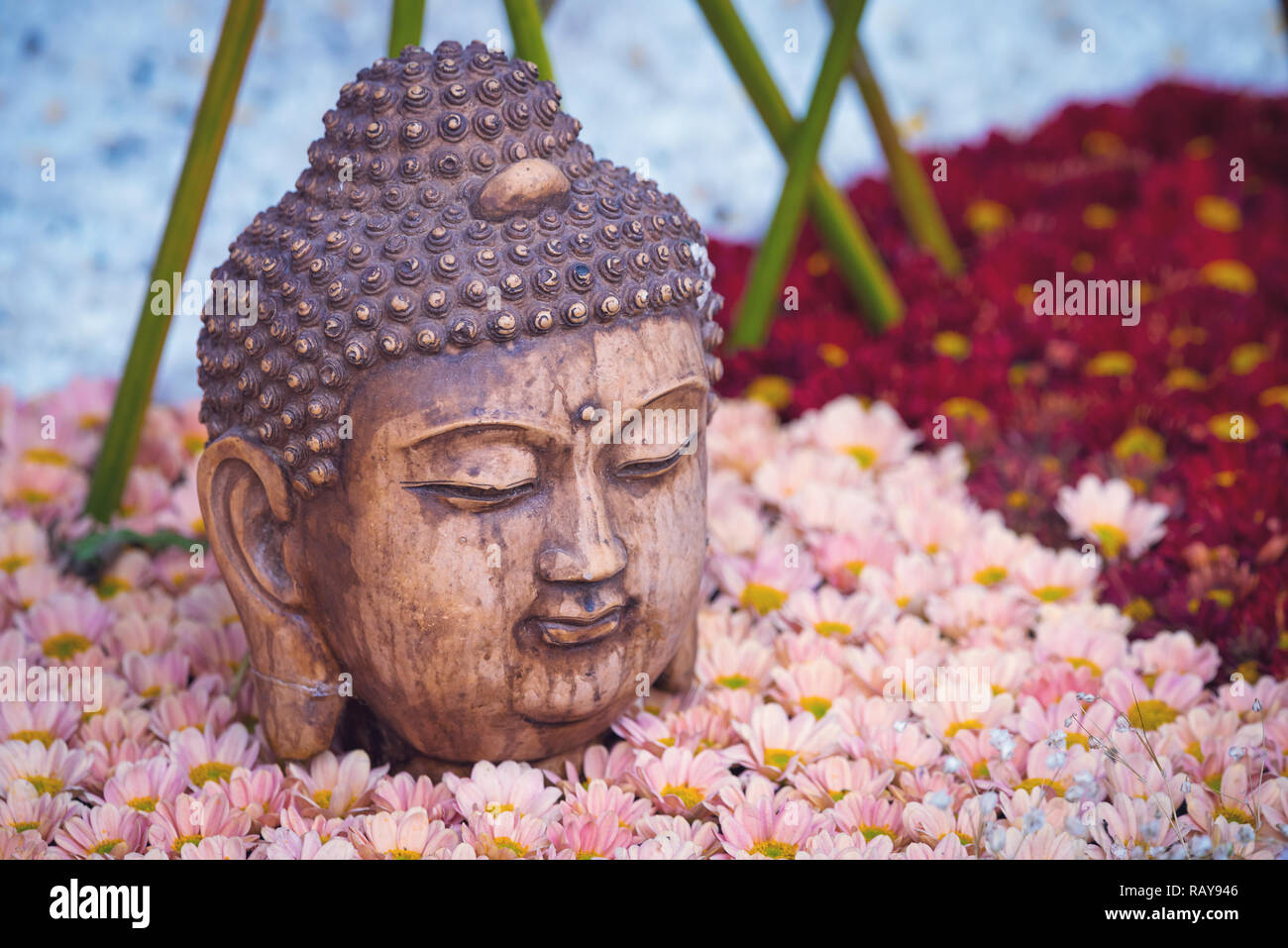 Tête de bouddha statue sur un lit de fleur en Chine Banque D'Images