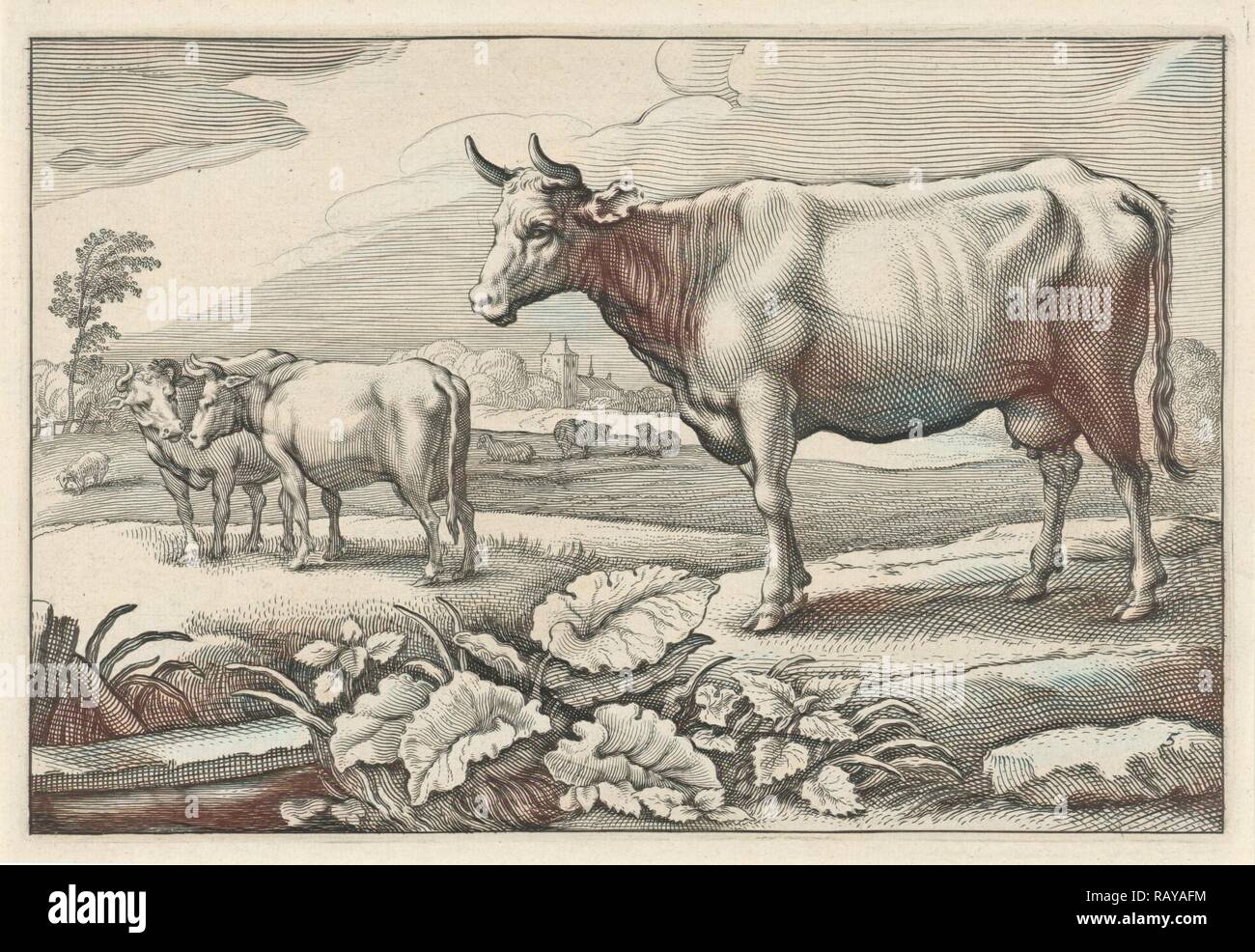 Pâturage avec des vaches, imprimer bouilloire : Reinier van Persijn, Jacob Gerritsz Cuyp, Nicolaes Visscher I, 1641. Repensé Banque D'Images