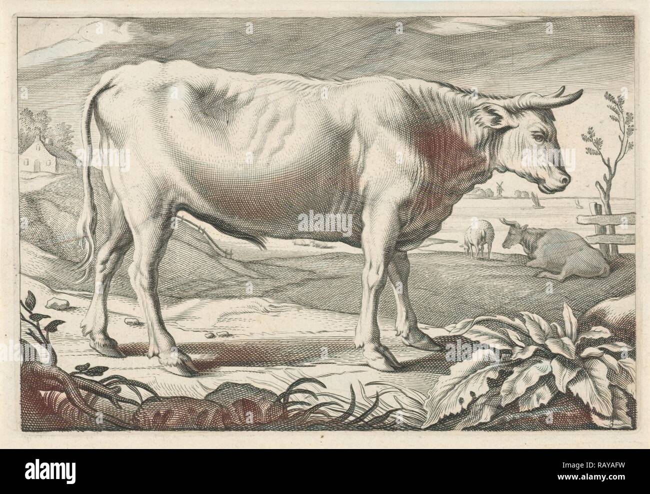 Pâturage avec un bœuf, Reinier van Persijn, Jacob Gerritsz Cuyp, Nicolaes Visscher (I), 1641. Repensé Banque D'Images