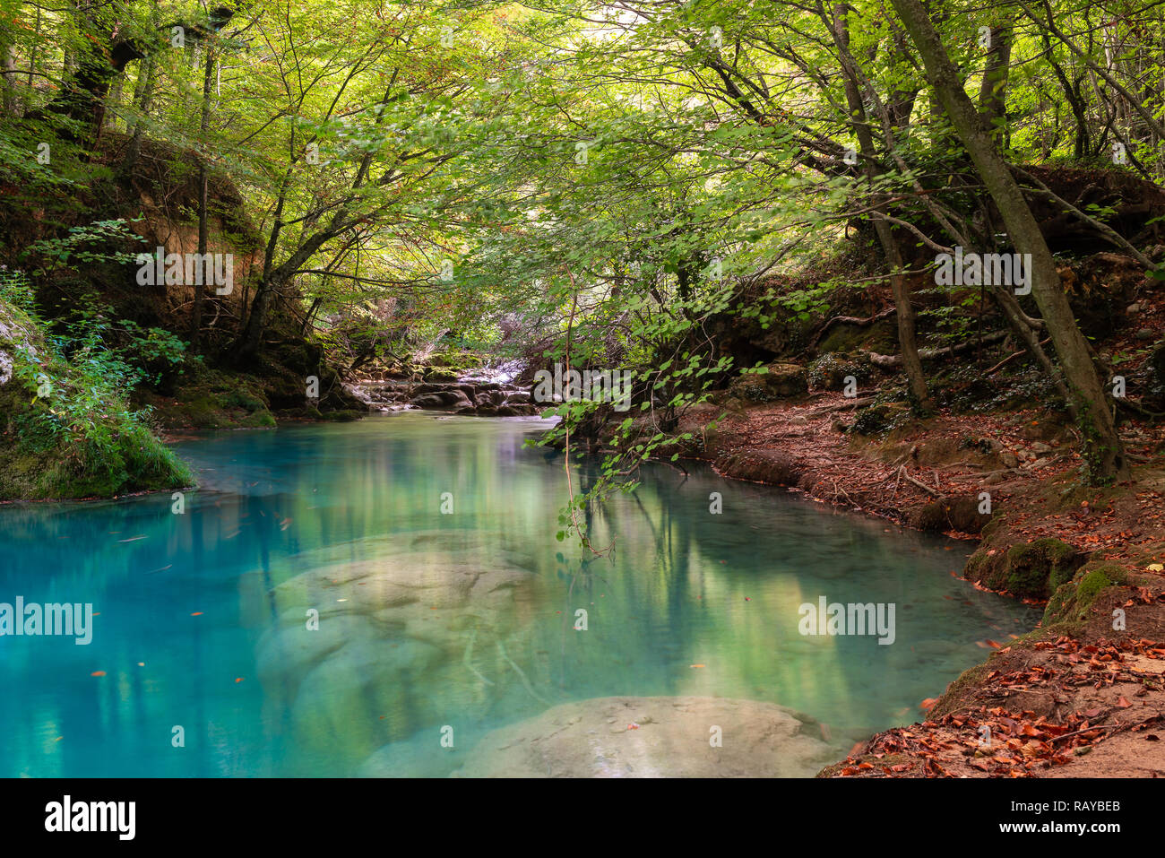 Source d'Urederra rivière de Baquedano, Navarre, Espagne Banque D'Images