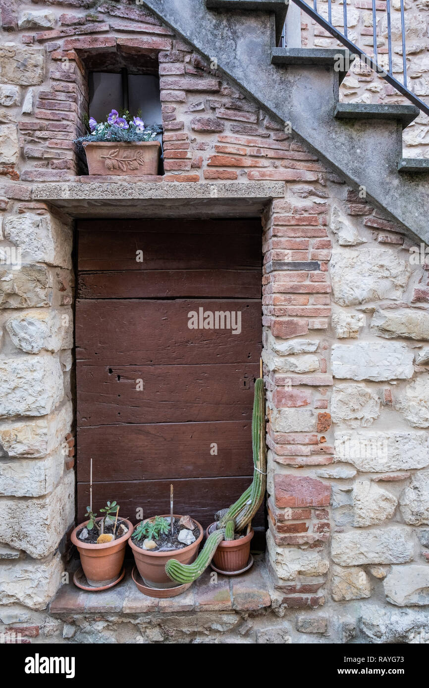 Portes et fenêtres avec des plantes ornementales dans l'ancien village de Suvereto, province de Livourne, Toscane, Italie Banque D'Images