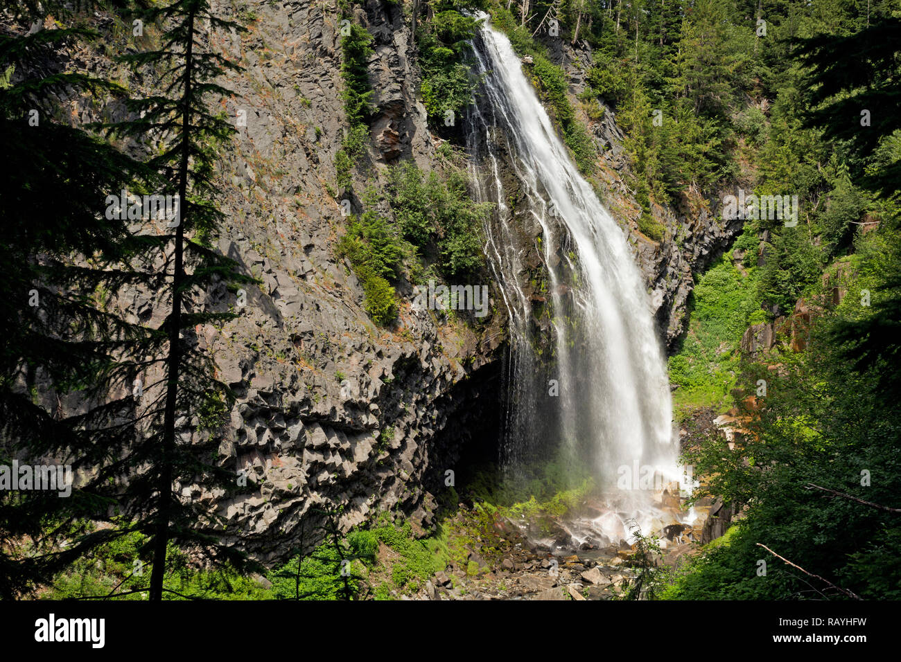 WA15662-00...WASHINGTON - à la base des orgues basaltiques de Narada Falls sur la rivière Paradise Mount Rainier National Park. Banque D'Images