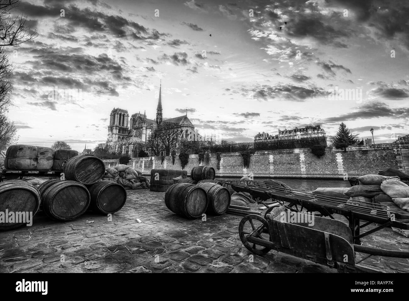 Docks de la Cathédrale Notre Dame de Paris avec de vieux barils, France Banque D'Images