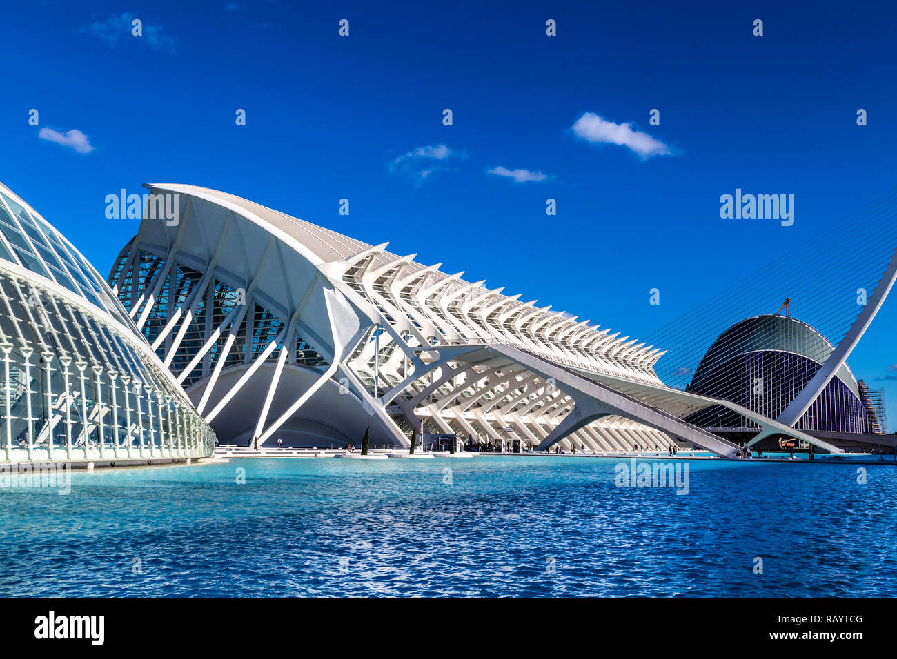 Museu de les Ciències Príncipe Felipe (Prince Philip Science Museum) dans la ville des arts et des Sciences, Valence, Espagne Banque D'Images