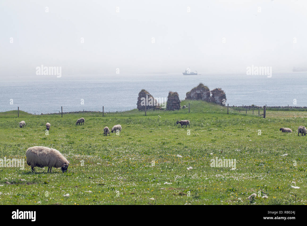 Brume sur la mer Son d'Iona, à l'Est, vers le brouillard obscurci et enveloppé de Mull, depuis l'île d'Iona. Le bâtiment en pierre d'un Diseirt Cladh demeure, à la mi-distance. Le inner​ Hébrides. L'Écosse. Banque D'Images