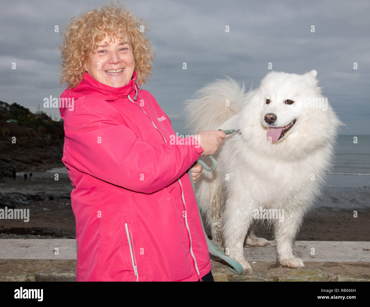 Fountainstown, Cork, Irlande. 05 janvier. 2019. Jane Morley du Réseau national d'apprentissage, Hollyhill, avec son chien Samoyède Harry appuyant les nageurs qui ont pris part à l'Carrigaline chanter ou nager événement pour recueillir des fonds pour l'Association irlandaise des maladies du neurone moteur à Fountainstown Beach, dans le comté de Cork, Irlande. Crédit : David Creedon/Alamy Live News Banque D'Images