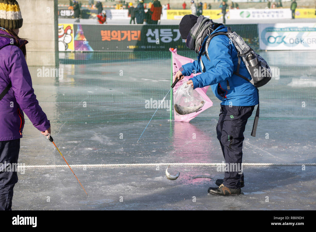 Hwacheon, la Corée du Sud. 5e Jan, 2019. 5 janvier 2019, l'Korea-Visitors à Hwacheon cast lines à travers les trous percés dans la surface d'une rivière gelée lors d'un concours de pêche à la truite à Hwacheon, la Corée du Sud. Le concours fait partie d'un rapport annuel d'ice festival qui attire plus d'un million de visiteurs chaque année. Credit : Ryu Seung-Il/ZUMA/Alamy Fil Live News Banque D'Images