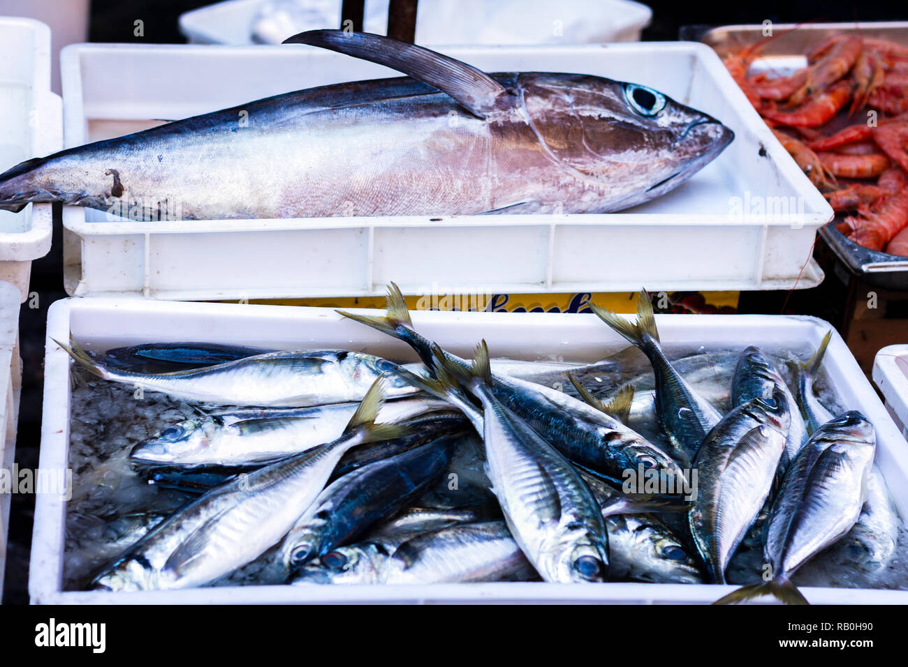 Poisson frais à vendre dans le marché aux poissons de Catane, Sicile, Italie Banque D'Images