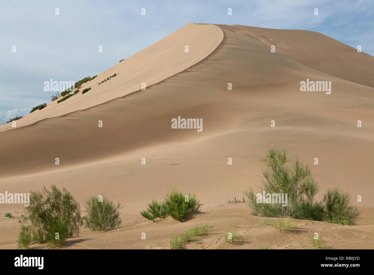 Le chant des dunes au Kazakhstan Banque D'Images