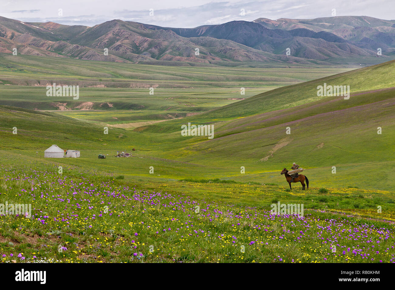 Assy Plateau où le peuple nomade rendez-vous à l'été, près de la ville d'Almaty, au Kazakhstan. Banque D'Images