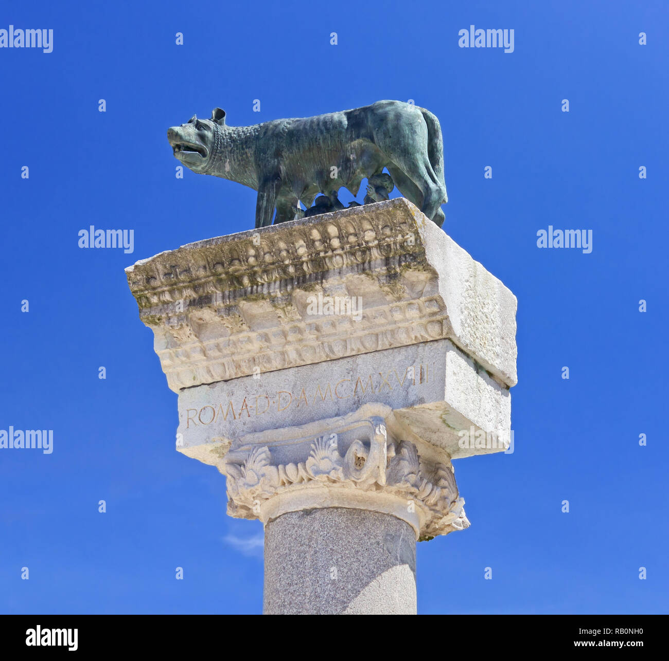 La louve romaine statue sur une colonne d'Aquilée, en Italie, près de la Basilique Banque D'Images