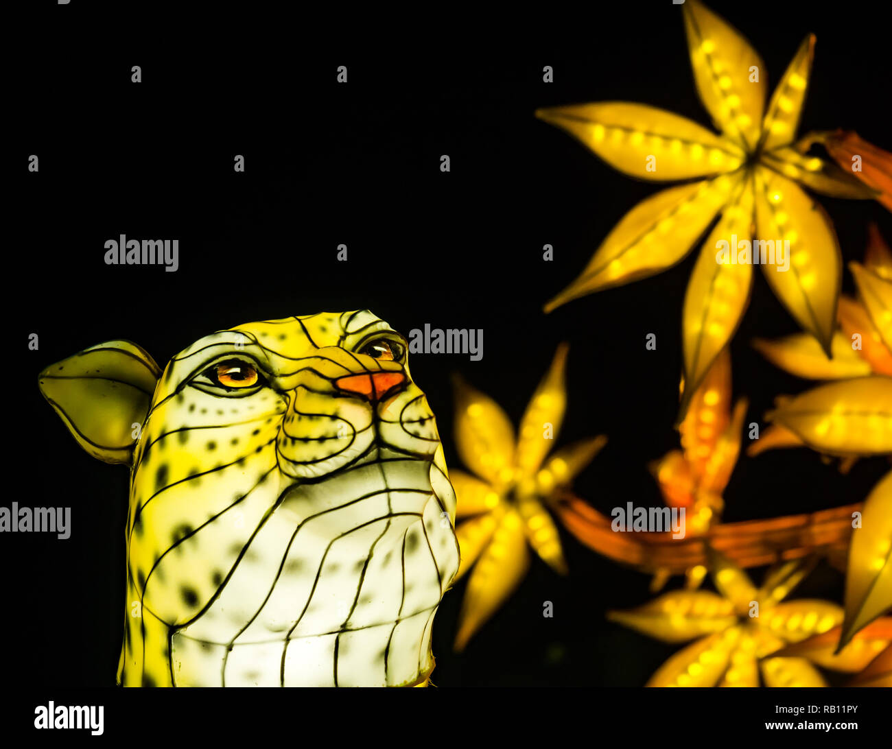 Lanternes Géantes de Chine afficher au Zoo d'Edimbourg, l'événement de Noël, Ecosse, Royaume-Uni. Un léopard Banque D'Images