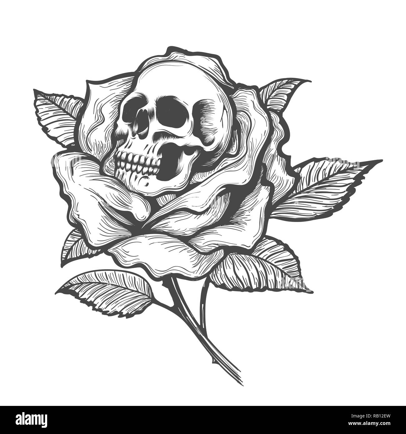 L'intérieur du crâne avec tatouage de fleur rose. Vector illustration. Illustration de Vecteur