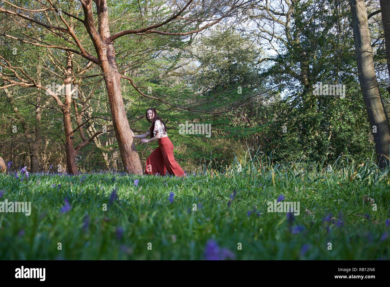 Une jeune femme à la longue chevelure brune avec des feux rouges et atteint pour un arbre et sourit. Le bois français est tapissée d'une mer de Banque D'Images