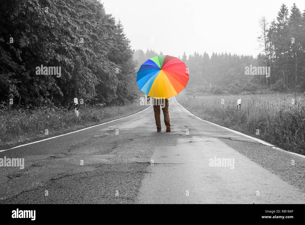 Personne avec un grand parapluie de couleur marche sur une route, vue monochrome Banque D'Images