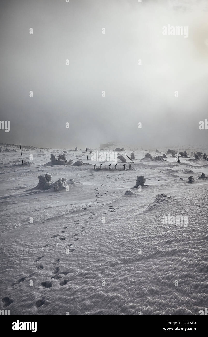 Paysages de montagne d'hiver pendant un blizzard. Banque D'Images