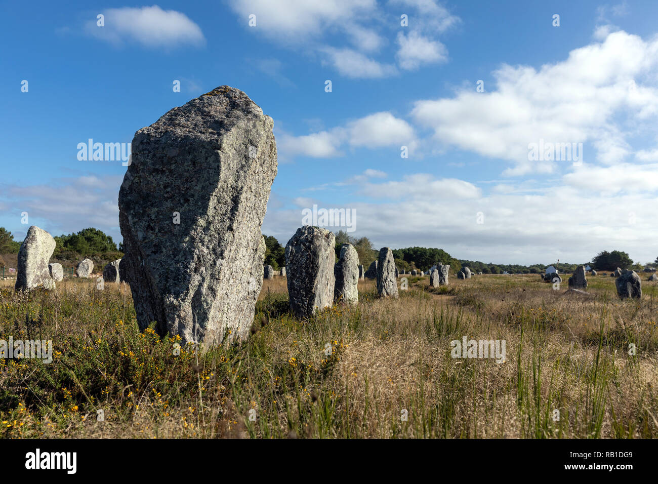 Site mégalithique de Carnac (Morbihan, France) Banque D'Images