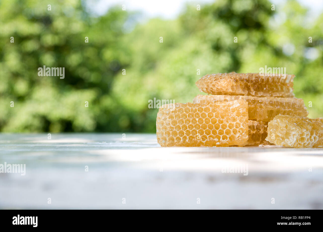 Lumière douce Miel Abeille en morceaux d'alvéoles sur une table rustique en bois blanc avec arrière-plan flou. Banque D'Images