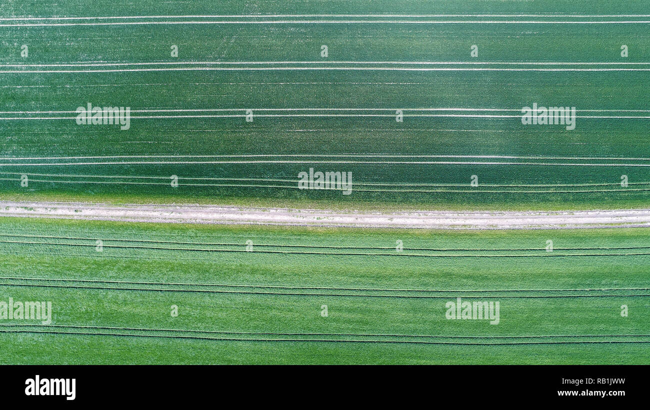 Photographie aérienne des lignes symétriques dans l'herbe / cultures dans un champ d'agriculteurs Banque D'Images