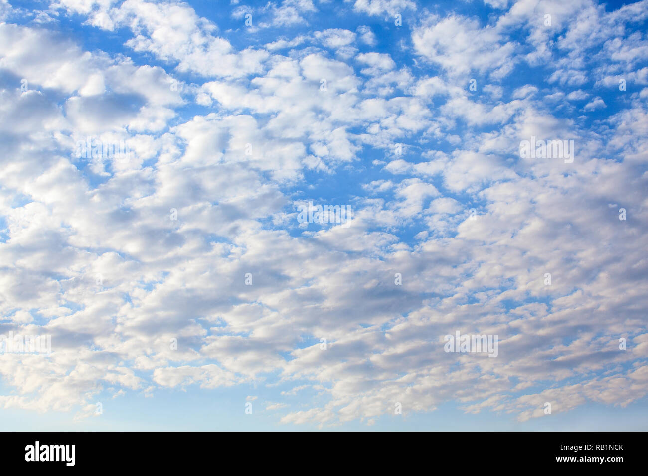 Cirrocumulus Nuage dans Ciel bleu sur Sunny Fresh 24. Banque D'Images