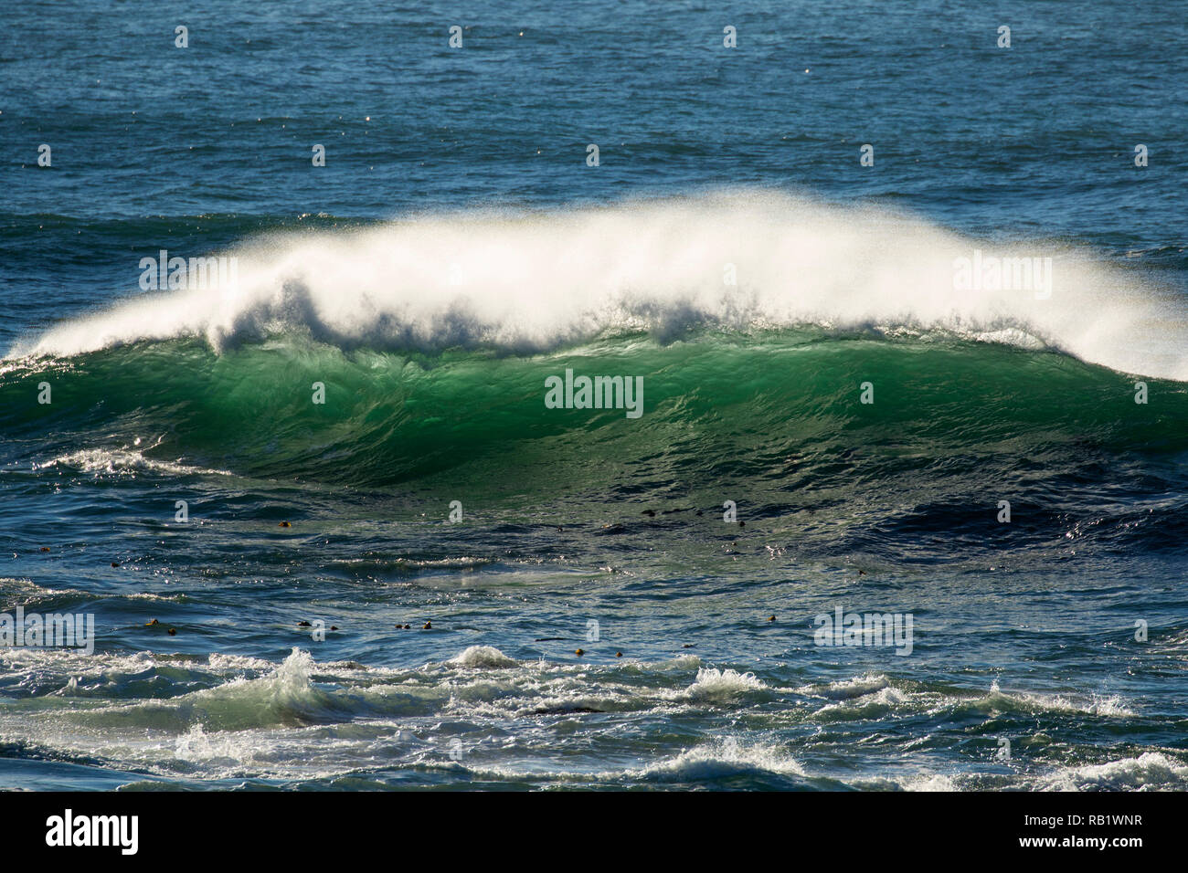 Vagues déferlantes, pêche Rock State Park, New York Banque D'Images