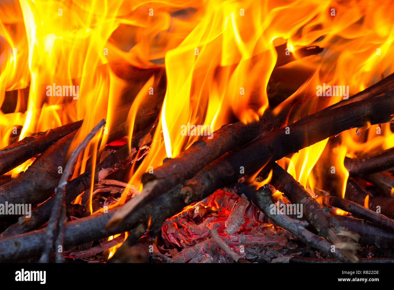 Bois de feu et les Banque D'Images
