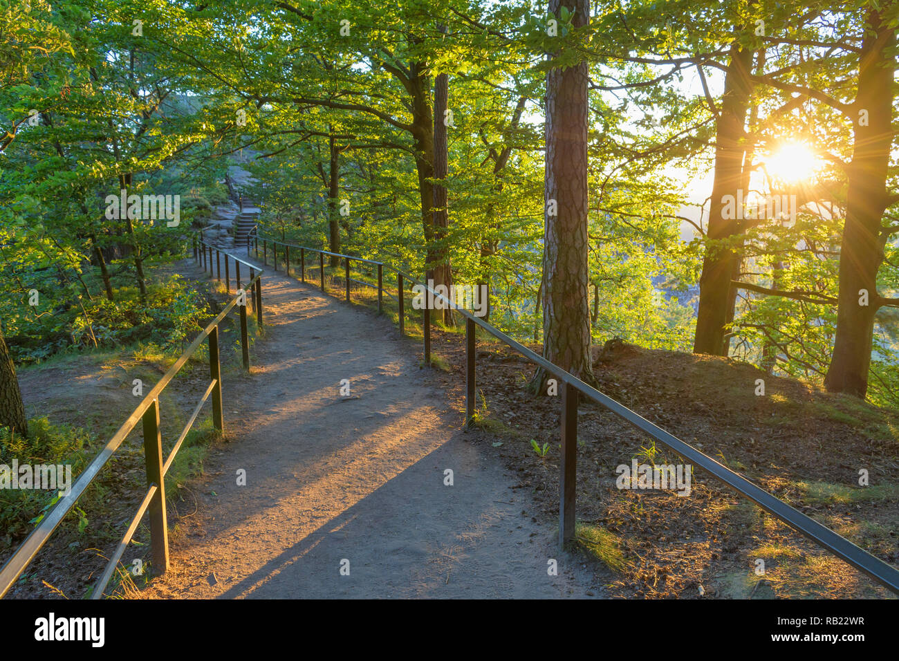 Sentier de randonnée dans la forêt avec le soleil, Bastei, Parc National, la Suisse Saxonne, Saxe, Allemagne Banque D'Images