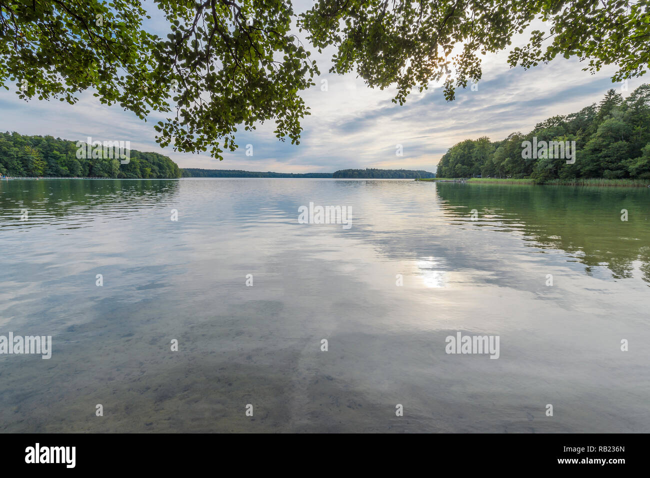 En été, au bord du lac Großer Lac Stechlinsee, 33, Rheinsberg, Ruppin, Brandebourg, Allemagne Banque D'Images