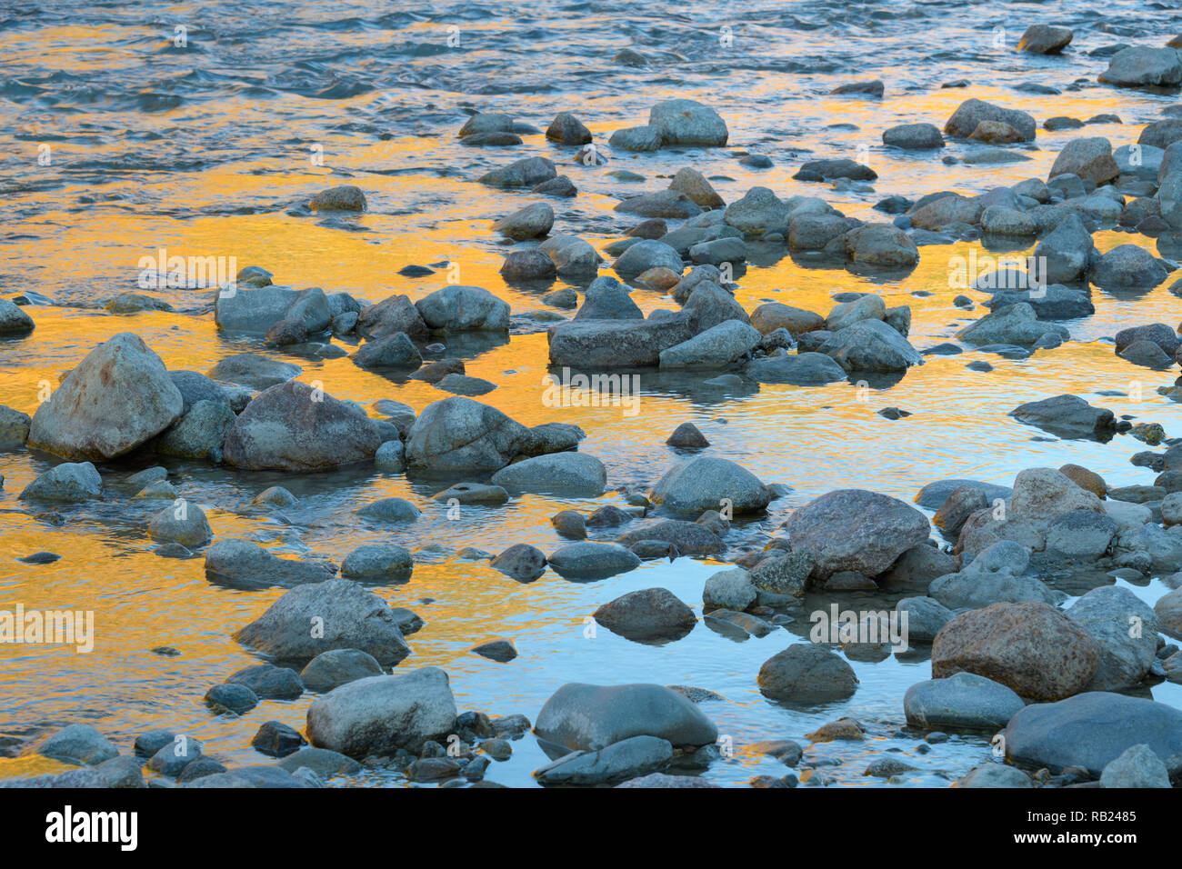 Ruisseau de montagne avec des pierres sur les mélèzes reflétant dans l'eau, automne, vallée, Morteratsch Pontresina, Engadine, Grisons, Suisse, Alpes Banque D'Images