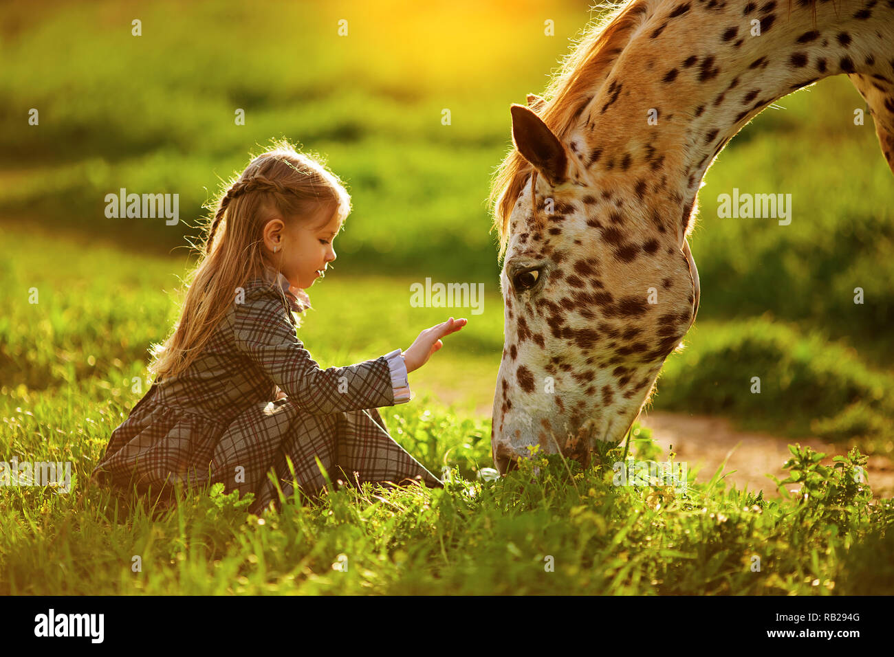 Petite fille et cheval Banque D'Images