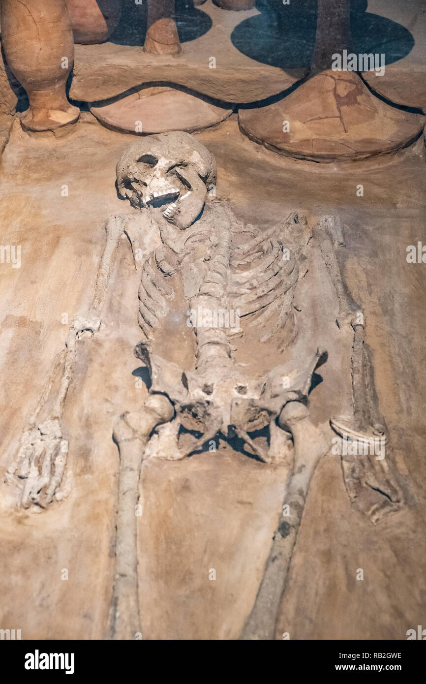 Squelette féminin (165 cms) de la civilisation harappéenne National Museum, New Delhi, Inde. Banque D'Images