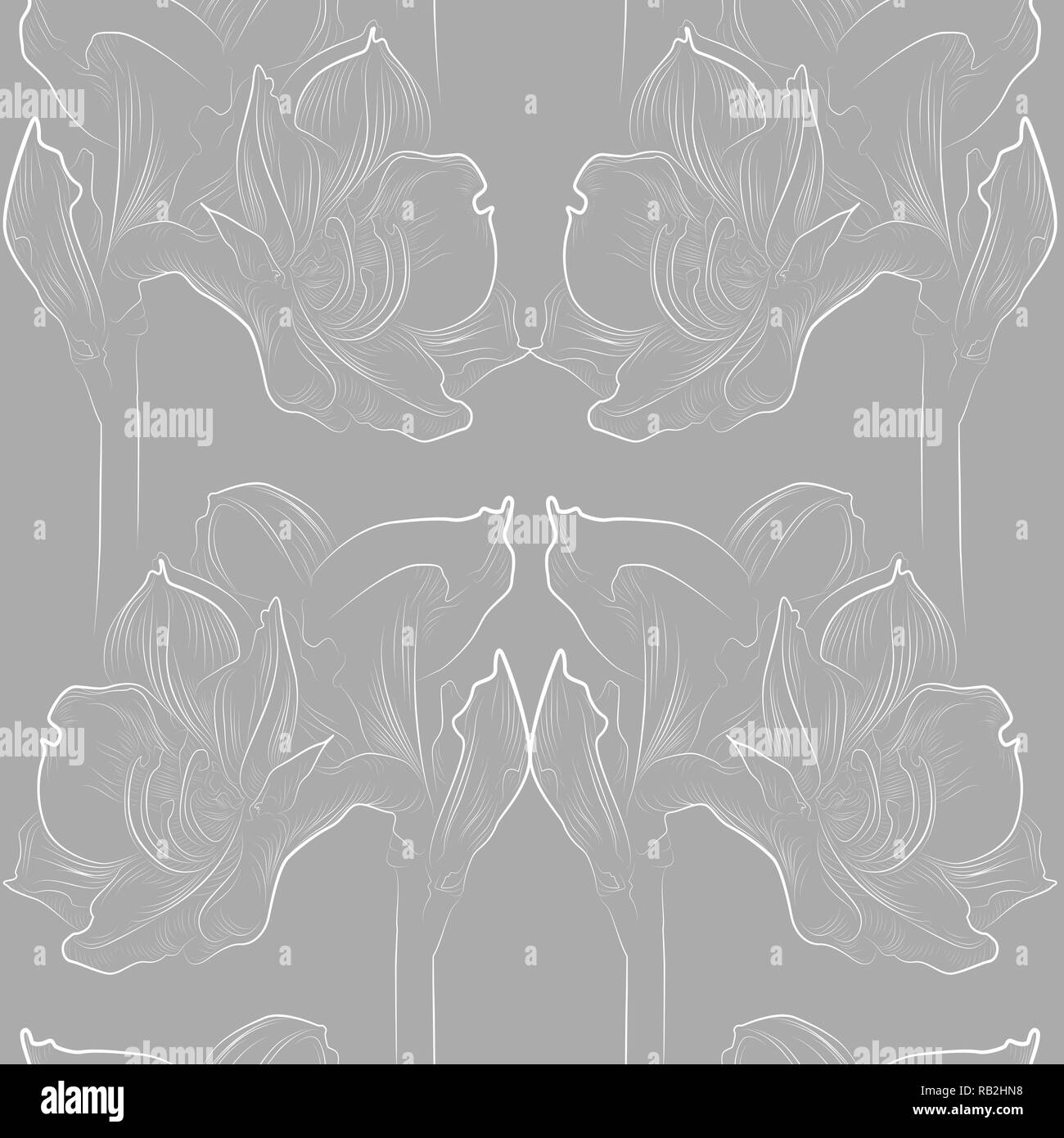 Amaryllis délicat motif transparent en gris et blanc Illustration de Vecteur