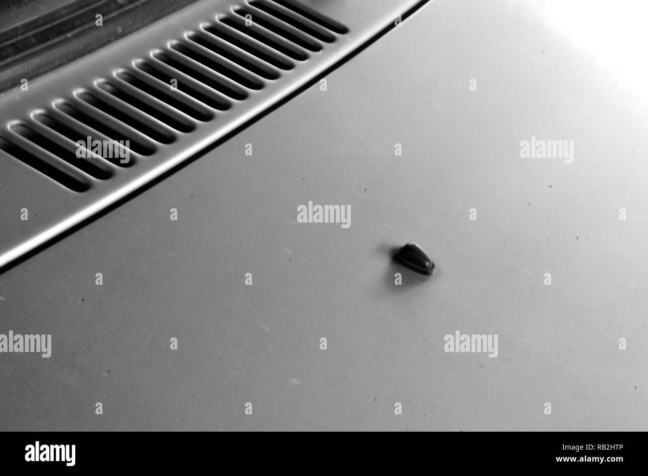 Homme dans une voiture de luxe Banque d'images noir et blanc - Alamy