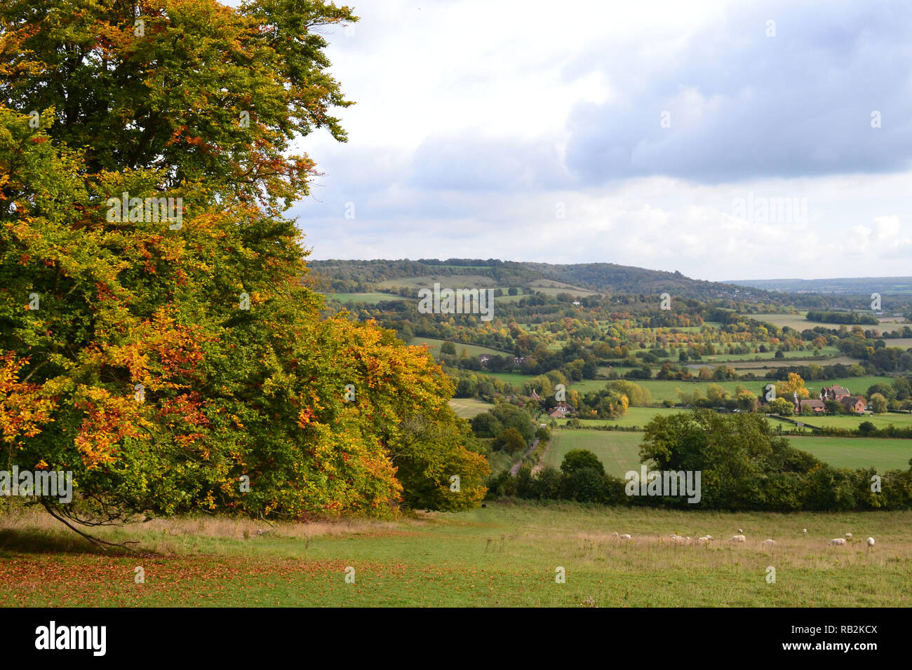 Vues de sentier sur une colline au-dessus de Filston Lane en octobre, Shoreham, dans le Kent, à travers les champs et les haies de la belle vallée de la Darent Banque D'Images