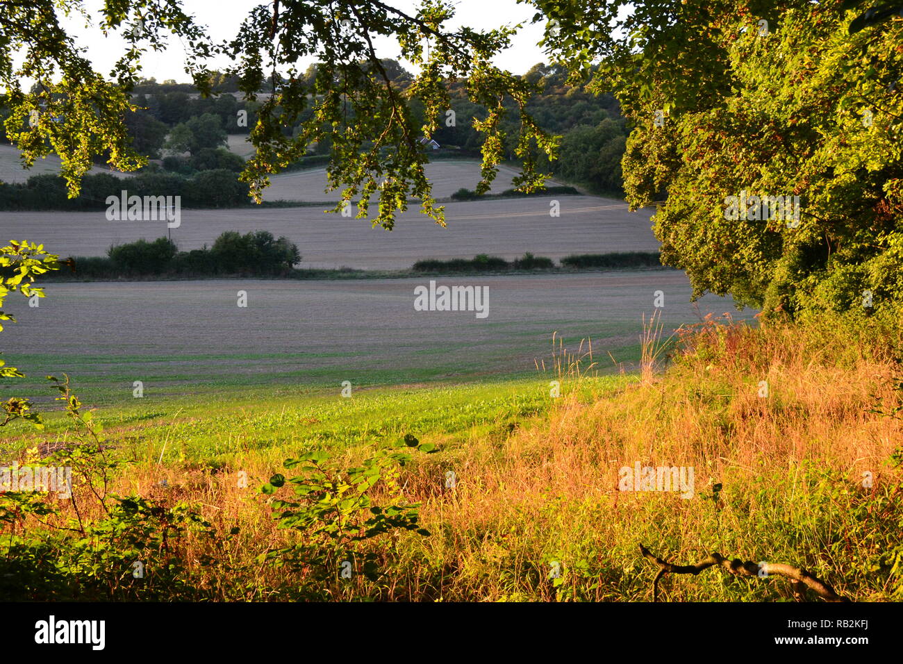 Sentier de vues par Shacklands Road, Shoreham, Kent en automne, à la recherche dans la vallée de la Darent et champs de colline en fin d'après-midi du soleil Banque D'Images