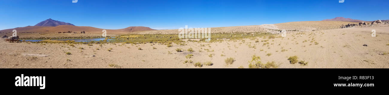 Beaux lamas dans les Andes en Amérique du Sud. Lacs et montagnes paysage. Banque D'Images