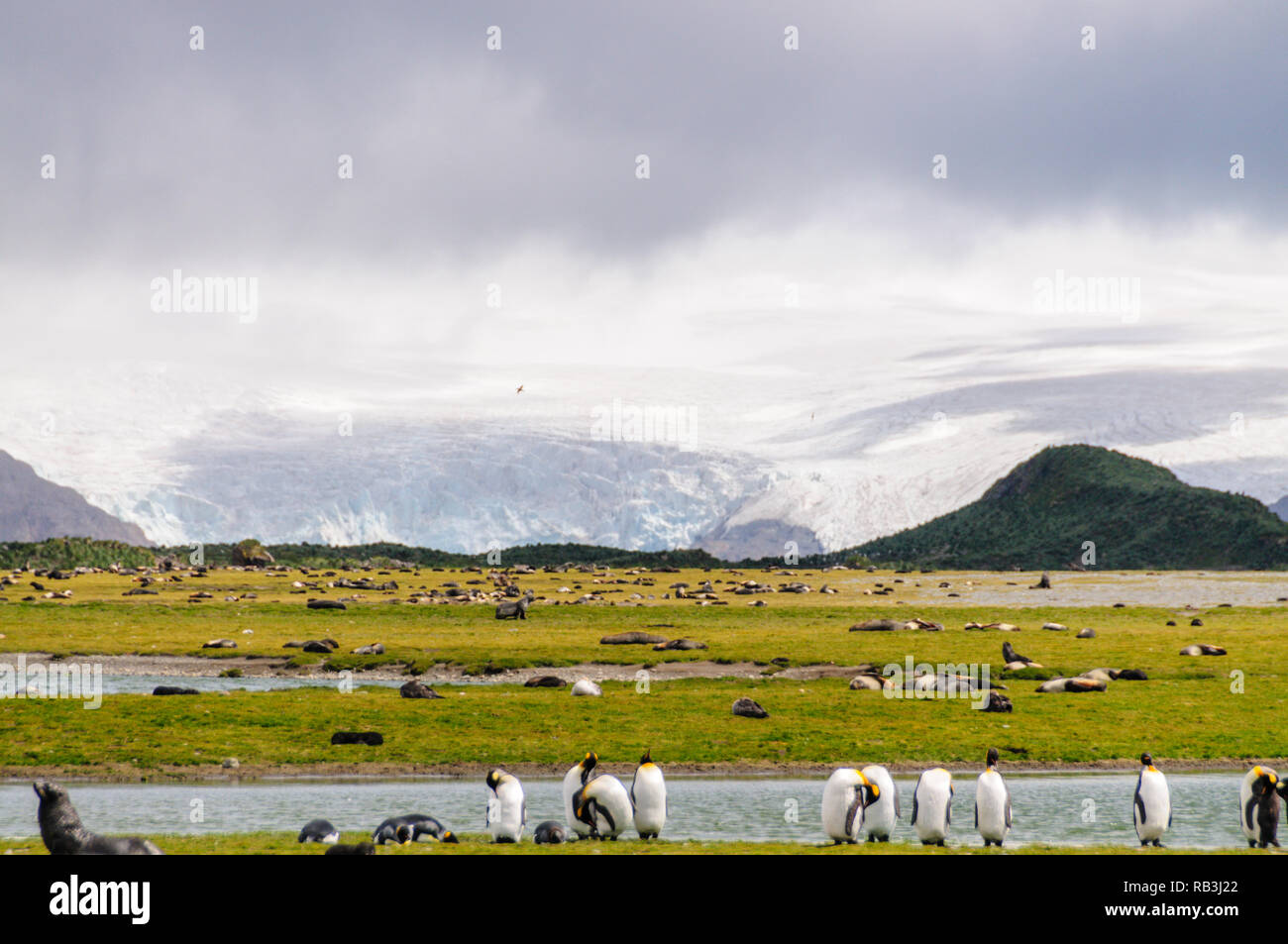 Des plaines de Salisbury en face d'un gigantesque glacier. Banque D'Images