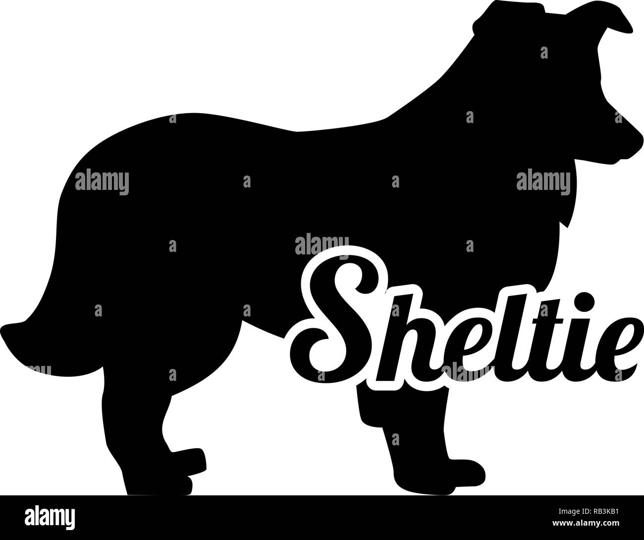 Shetland Sheepdog Sheltie d'ossature du vrai avec word Illustration de Vecteur
