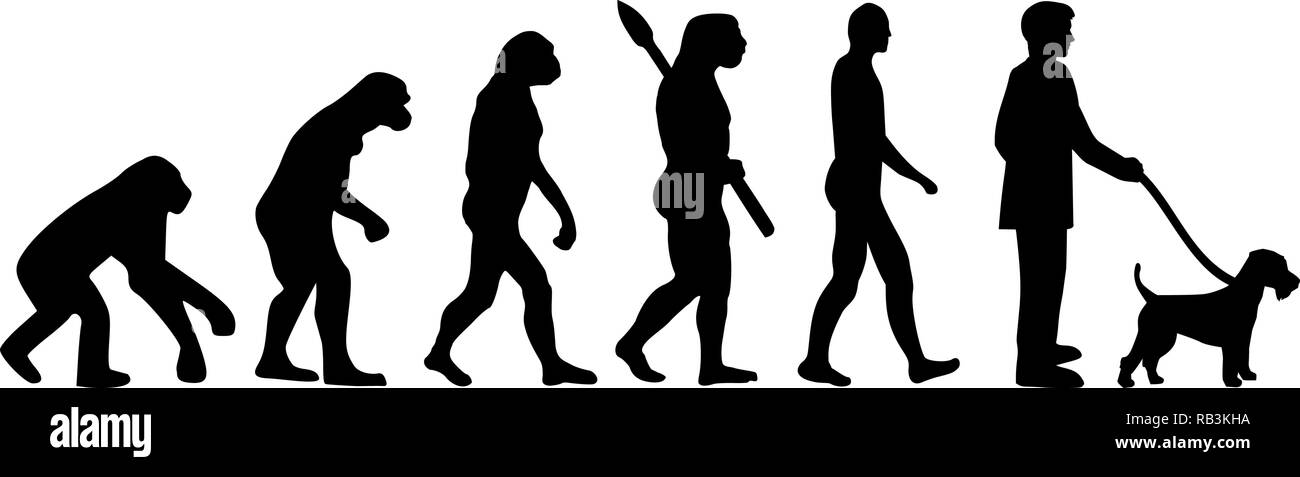 Le développement de l'évolution de terrier de Gallois avec ossature Illustration de Vecteur