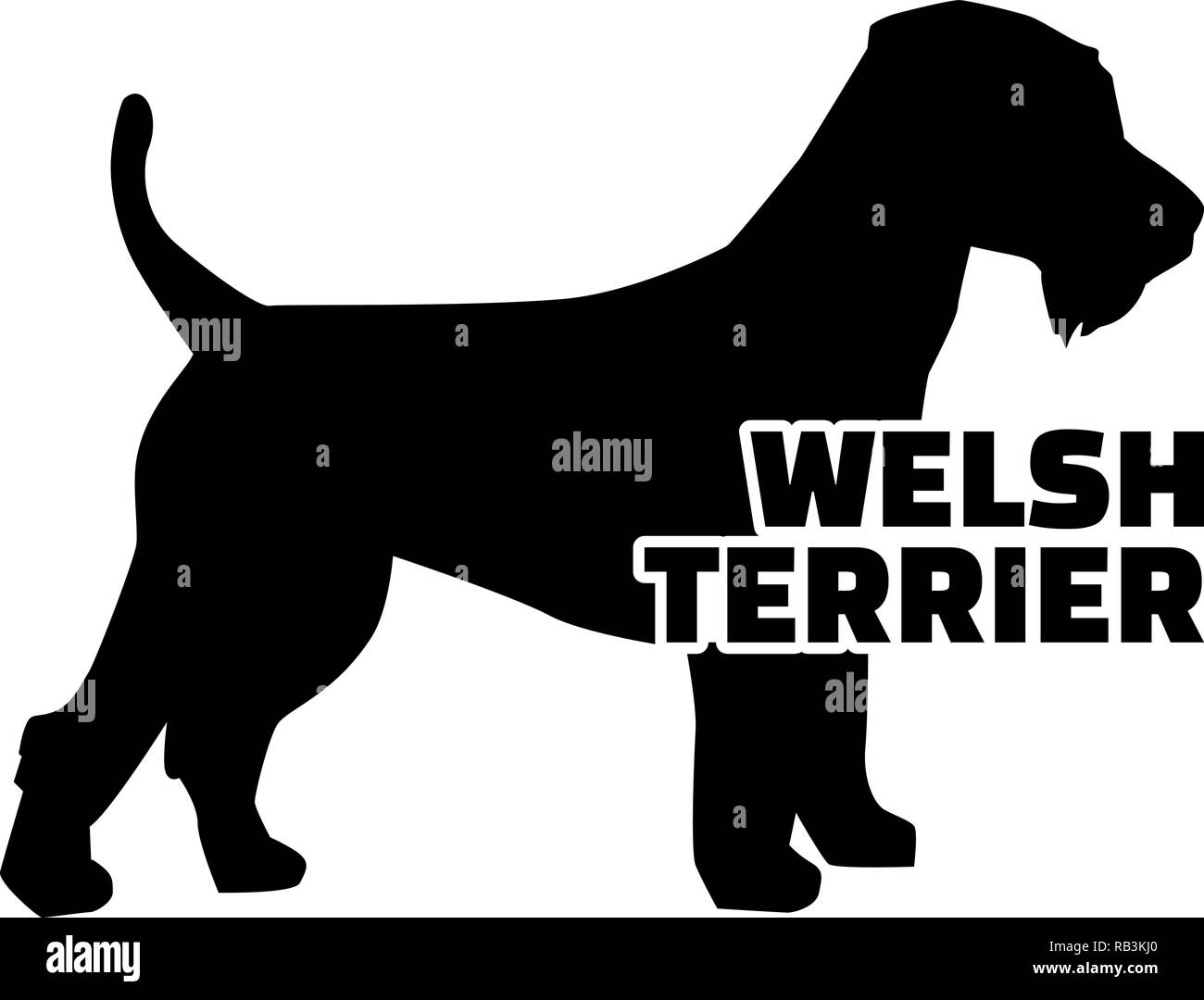 Silhouette de terrier de gallois du vrai avec word Illustration de Vecteur