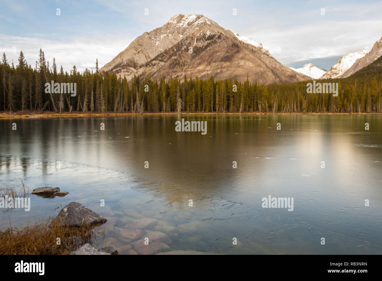 Buller Étang gelé au début de novembre, avec vue sur la montagne en arrière-plan, dans la région de Kananaskis, Alberta, Canada. Banque D'Images