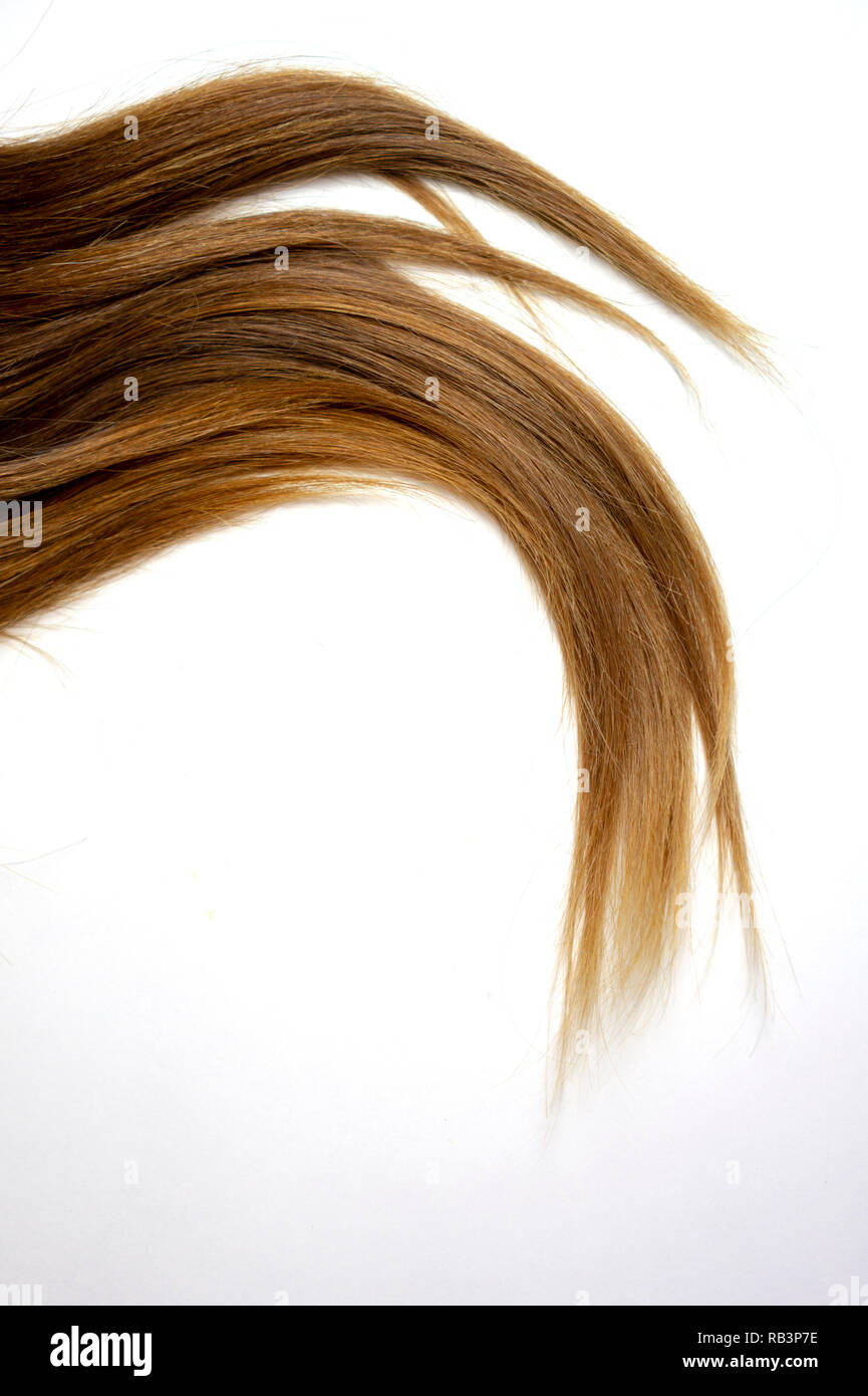 Long cheveux raides brun sur blanc fond isolé Banque D'Images