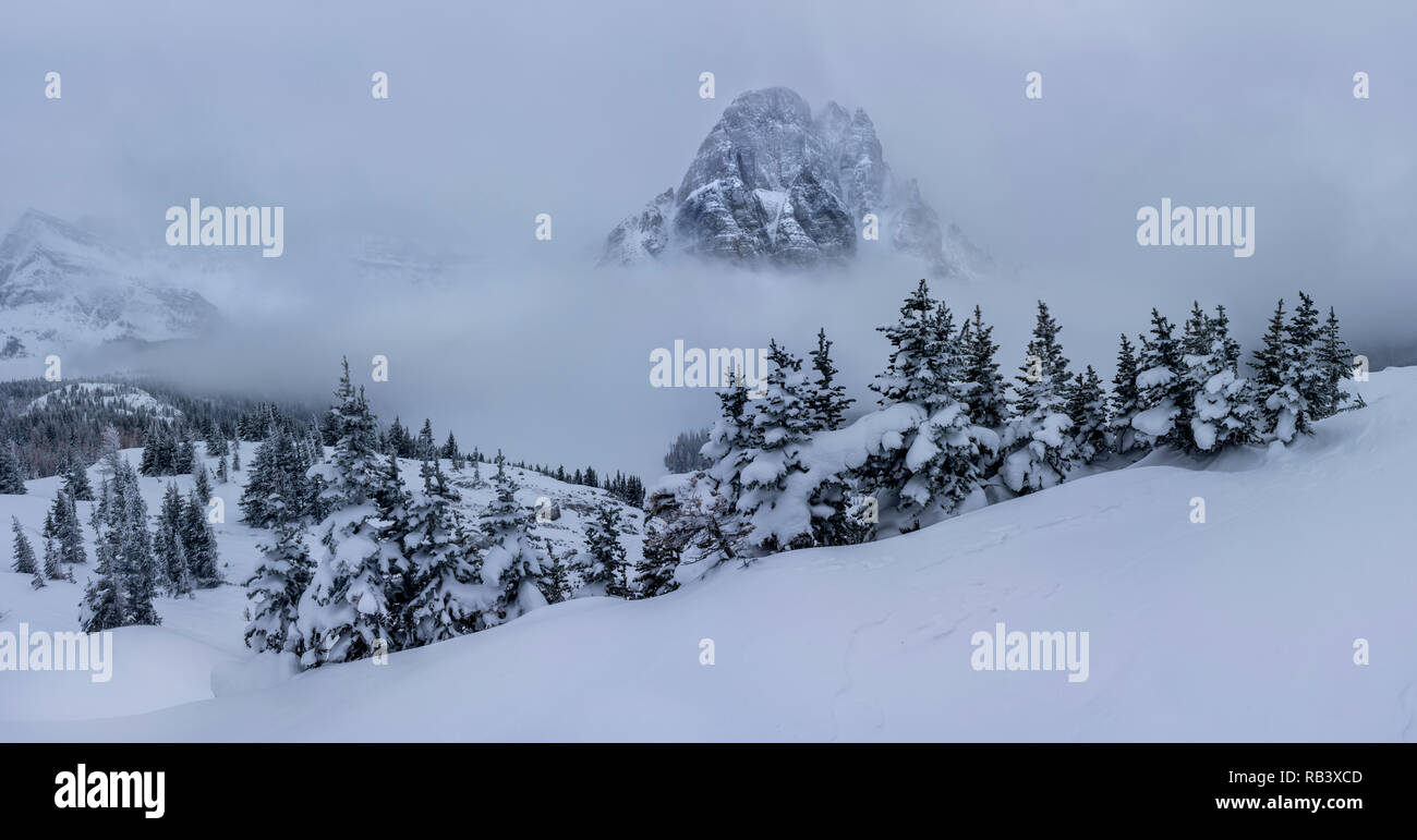 Sunburst nuages bas au-dessus de nouveaux pics couverts de neige derrière les arbres de Noël et de la neige au sol en haute résolution Panorama Banque D'Images