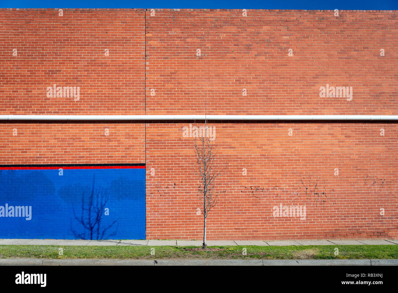 Un mur de brique rouge avec un tuyau horizontal blanc, rectangle bleu peint et herbe verte avec centrale de l'arbre en premier plan Banque D'Images