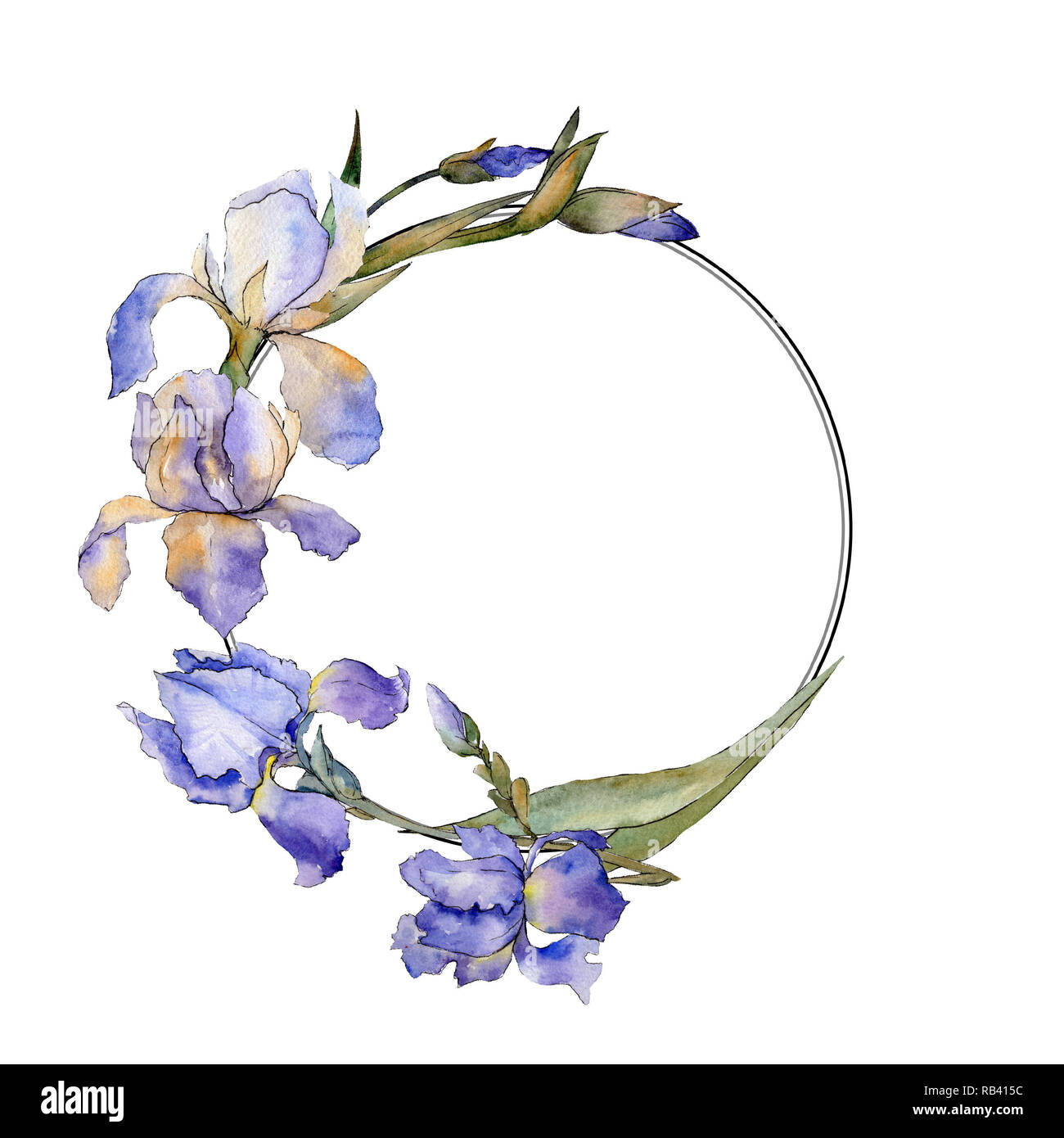 Iris mauve fleur botanique floral. Contexte aquarelle illustration set.  Bordure de cadre carré ornement Photo Stock - Alamy