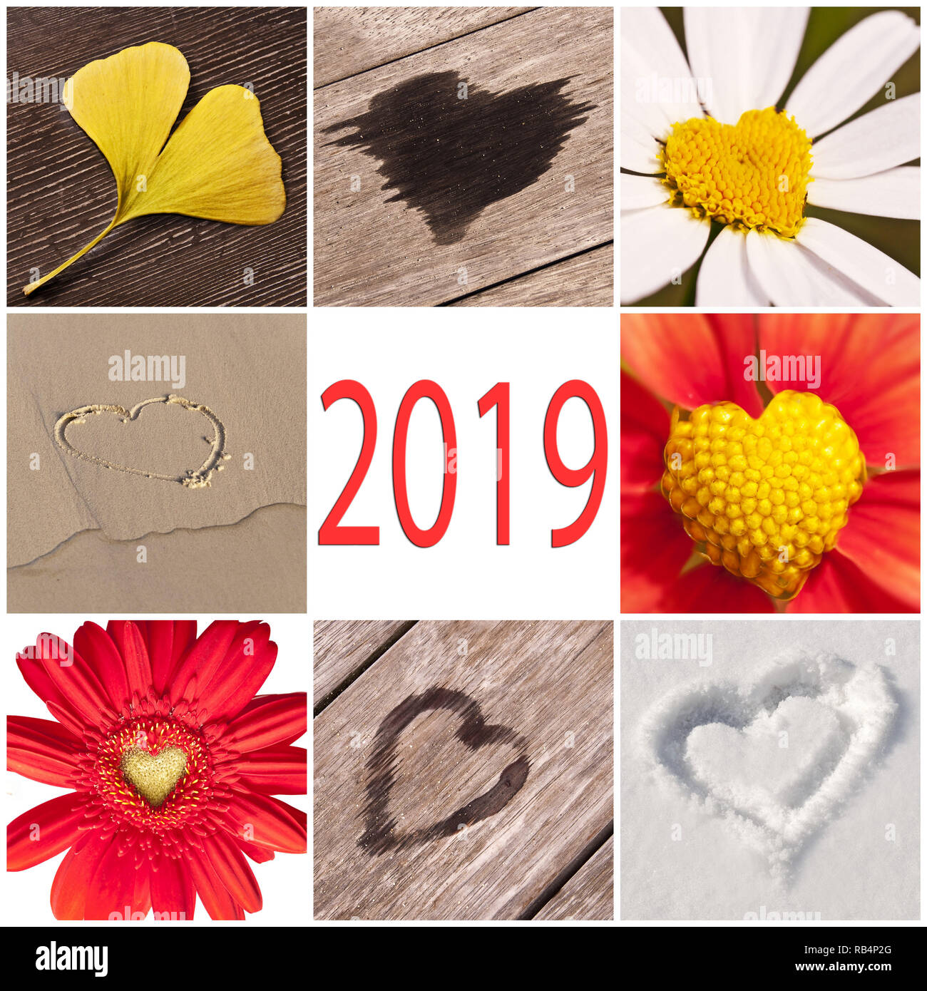 En 2019, collection de coeurs liés avec la nature, le nouvel an et la Saint-Valentin concept Banque D'Images